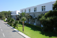 IB-block