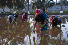 BIT_7891_2_optimized_2000