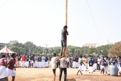 BIT_8085_optimized_2000