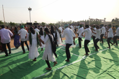 BIT_PV_5_optimized_2000