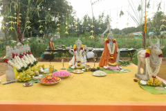 BIT_PV_6_optimized_2000