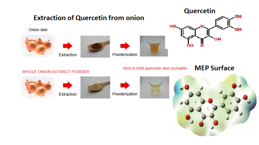 Quercetin – Active compound from onion skin