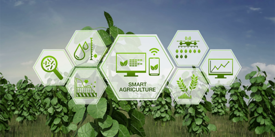 Exploring the Transformative Power of IoT in Agriculture