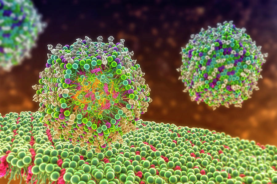 mRNA Nanoparticles Reprogram Bone Marrow Cells
