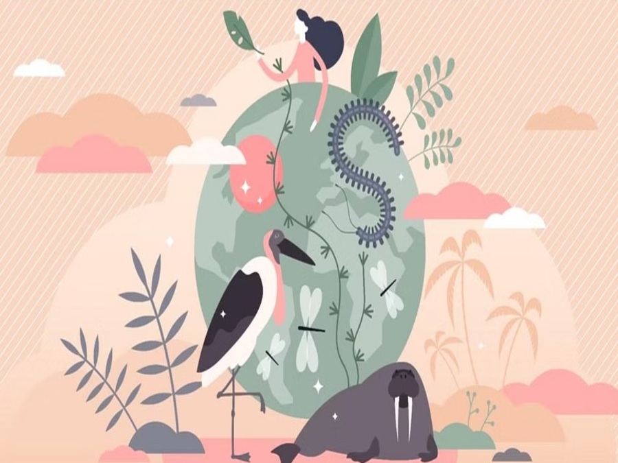 Modern Technology for Wildlife Conservation