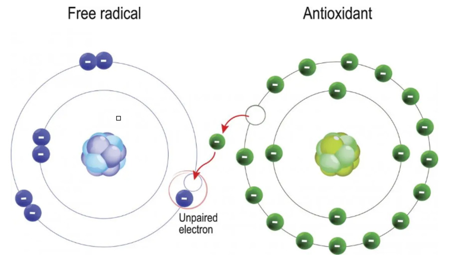 Polyphenolics from Plants as Potential Medicine