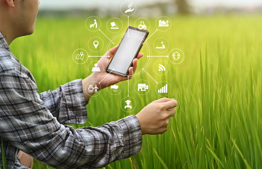 Transforming Agriculture with AI-IoT Soil Testing