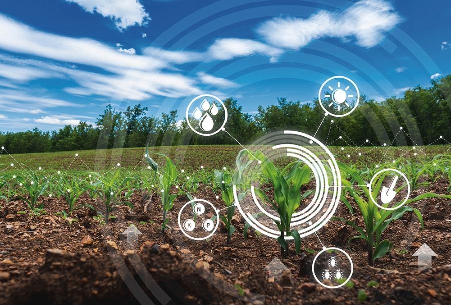 Artificial Intelligence (AI) in Soil Quality Monitoring