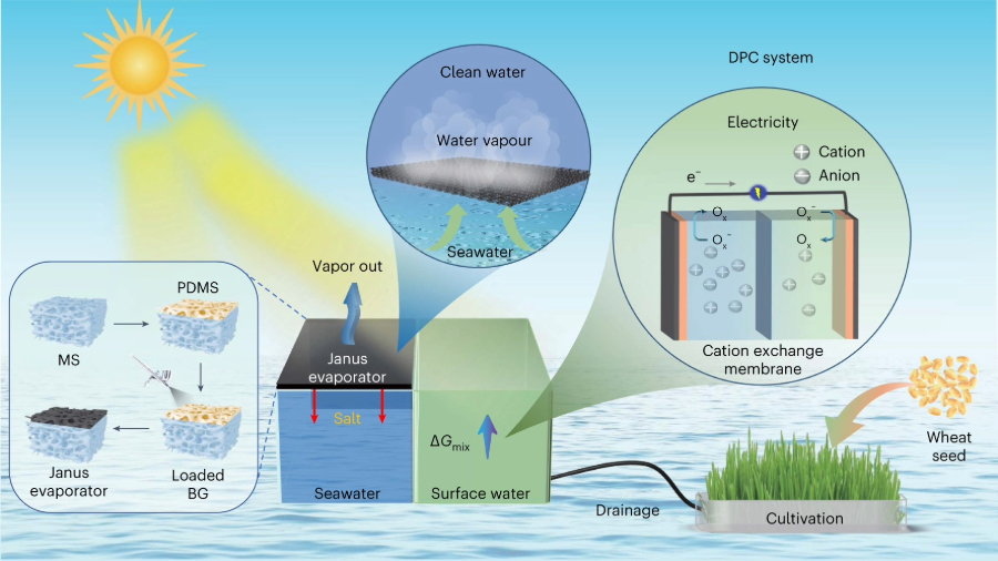 How Nanotechnology is Revolutionizing Water Desalination