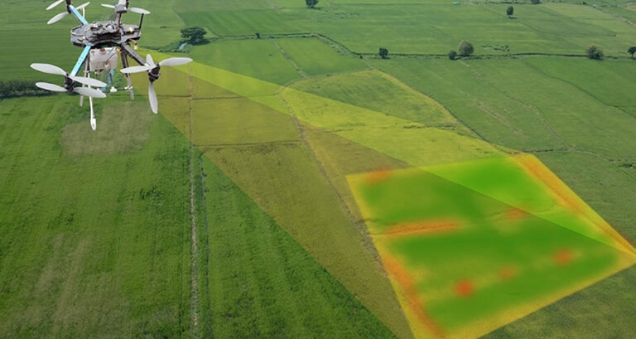 Machine Learning for Sustainable Agriculture