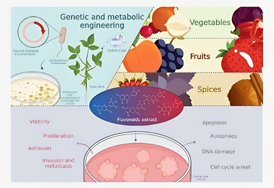 Biological Activities of Polyphenols