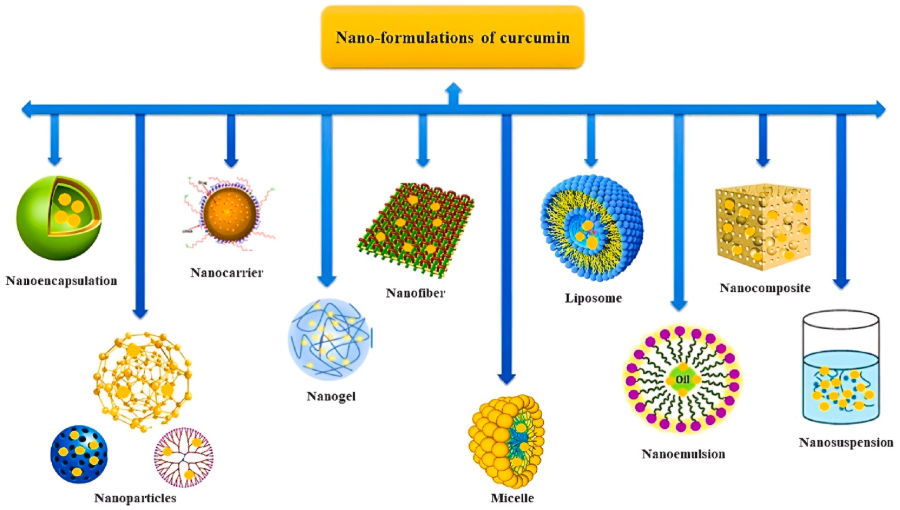 Curcumin Nanomedicine