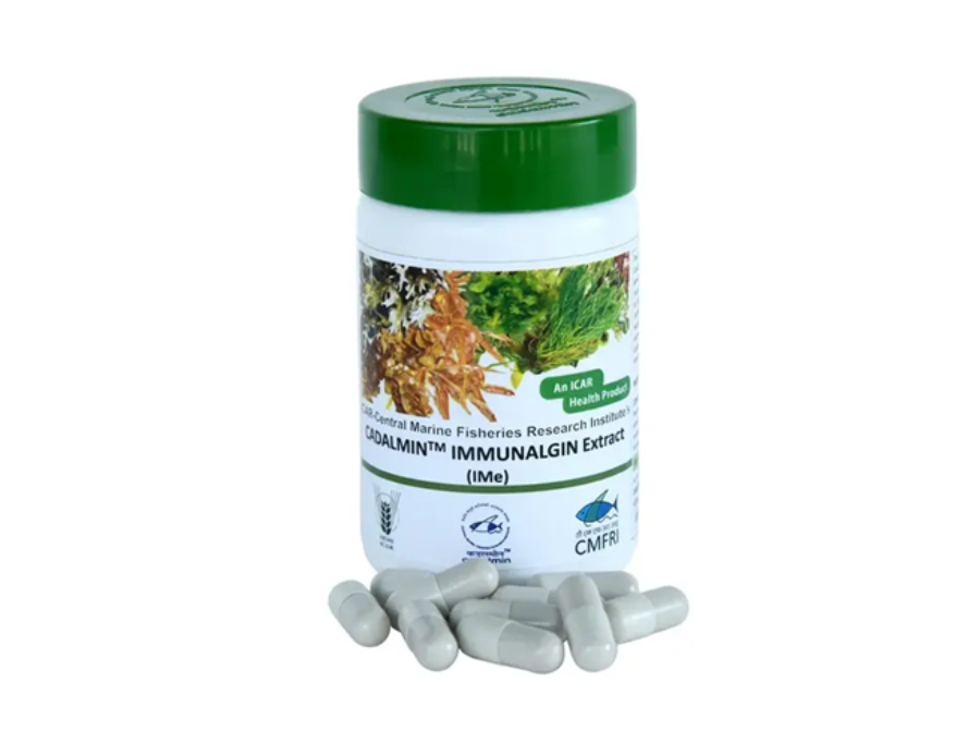 CMFRI develops seaweed-based nutraceuticals to boost post-Covid immunity