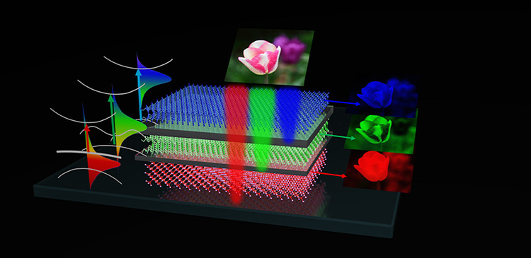 Seeing the World in Full Spectrum: The Vertical Color Sensor