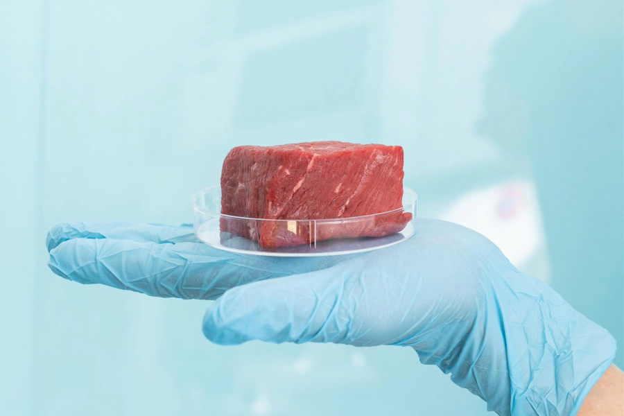 Lab-Grown Meat- An Alternative Protein Source for the Sustainable Future